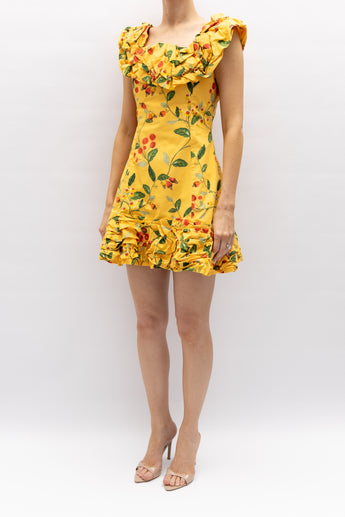 Agua Bendita Jardin Fruital Dress