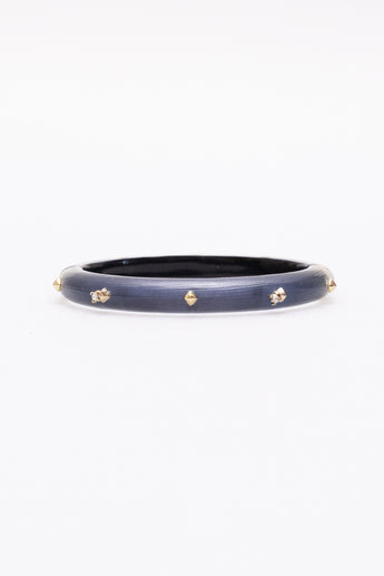 Alexis Bittar Lucite Hinged Bangle Bracelet