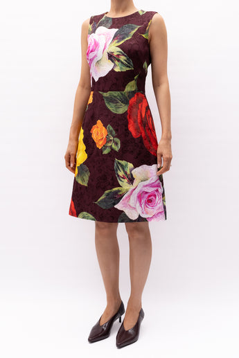Dolce & Gabbana Floral Print Mini Dress