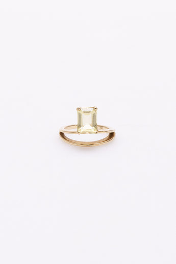 Natasha Schweitzer Double Band Gemstone Ring